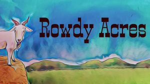 Rowdy Aces